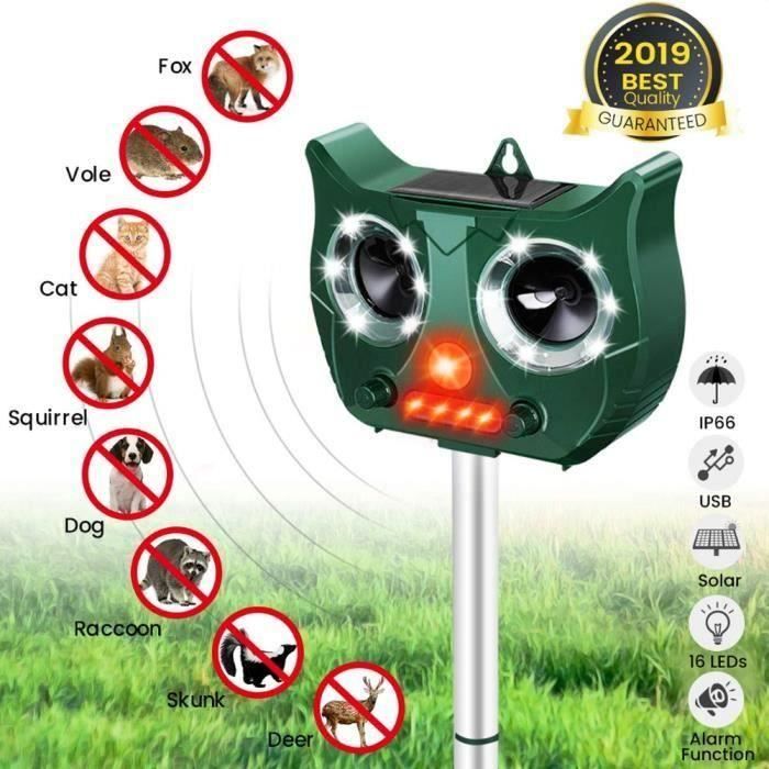 Anti Chats Jardin Anti Chats Jardin