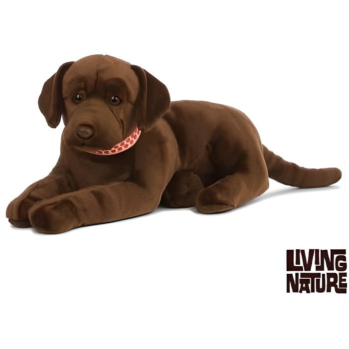 Peluche chien Labrador brun 60 cm - AN479