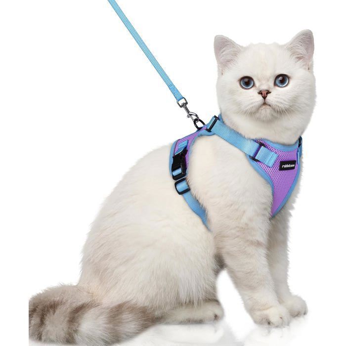 Meilleurs prix pour Rabbitgoo Harnais Chat Laisse Pour Chat Harnais Pour Petit Chien Souple et Réglable Veste Bandes Réfléchissantes Violet et Bleu XS