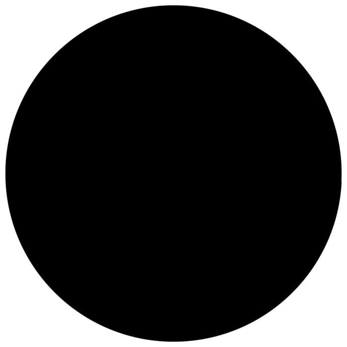 VENTE-FLASH Couverture de sécurité-Couverture de piscine Noir 250 cm PE(661536)ZLH