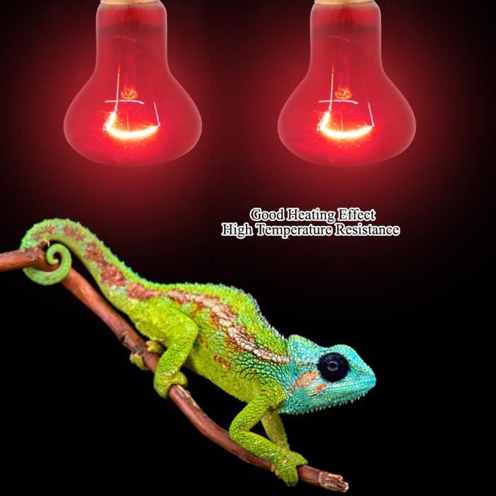 Lot De 2 Lampes Chauffantes Céramique Pour Reptiles E27 75W - Sans Lumière, Chauffage Rapide - Pour Terrarium, Poulailler, Petits Animaux
