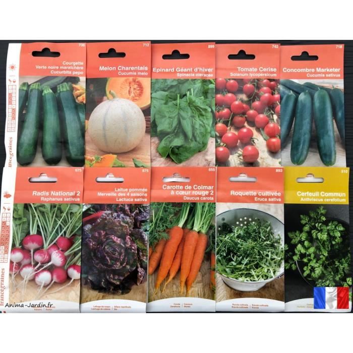 Lot de 10 sachets de graines différents, Courgette, Melon, Tomate, Radis,  Carotte, français, économique, graines pas cher - Cdiscount Jardin