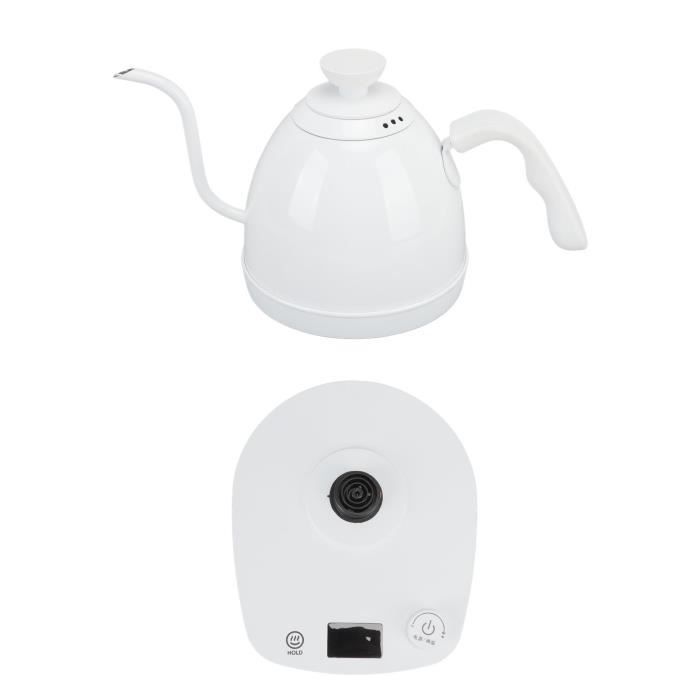 Sharplace Kettle Vert Sharplace Bouilloire Verseuse Col De Cygne 600ml Acier Inoxydable Vert Dégradé - Cafetière Gooseneck