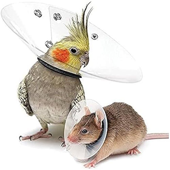 Meilleurs prix pour Collier - KVP - Saftshield - Léger - Rembourrage double - Acier inoxydable