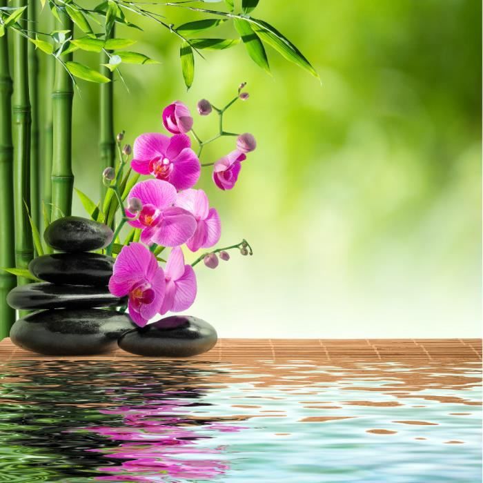 Sitemapcdatahttpsshopinf Inetcomstickers Muraux Salon Zen