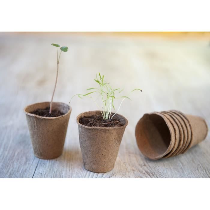 Cymax Lot de 50 Pots de semis en Fibre biodégradable de 8 cm avec 50 étiquettes de Plantes Godets Semis Plantes Biodégradables Pots de semences pour Germination du Jardin Fleurs 