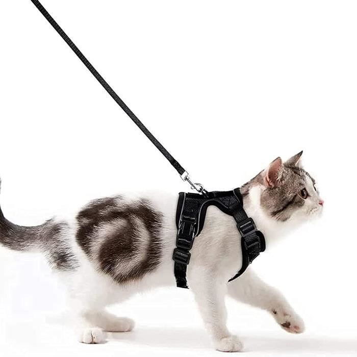 Wdmiya Harnais Chat Petit Chien Laisse Harnais Chaton Réglable Gilet Refléchissant Respirant, Collier Harnais et Laisses Sécurit15