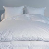 Edredon Blanc Duvet Castex - Gonflant, 160x170 Cm, Duvet De Canard, Fabrication Française