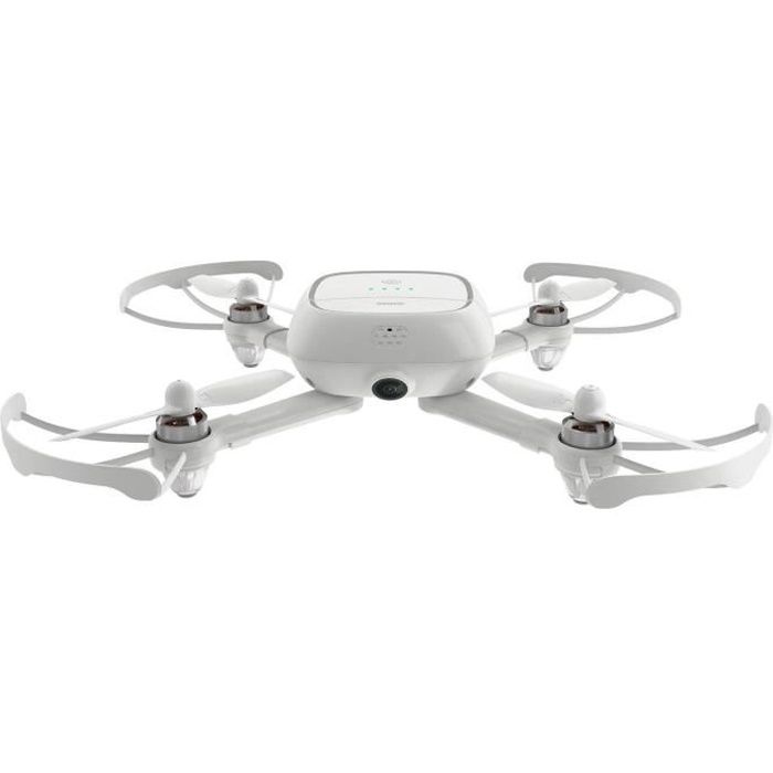 Qimmiq shop drone viso