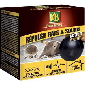 Anti Moustique Ultrason Prise, Ultrason Souris Mouche 4 Paquets, Appareil  Repulsif Souris Efficace Pour Repousser Les Rats, L[y270]