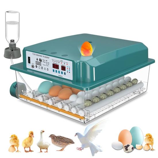 Couveuse Automatique œufs 12–16 Places – Retournement & Humidification Auto | Pour Poule, Canard, Caille