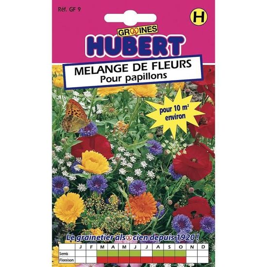 Mélange Graines Fleurs Pour Abeilles - 800 G Pour 150-250 M² - 20 Espèces De Plantes Mellifères