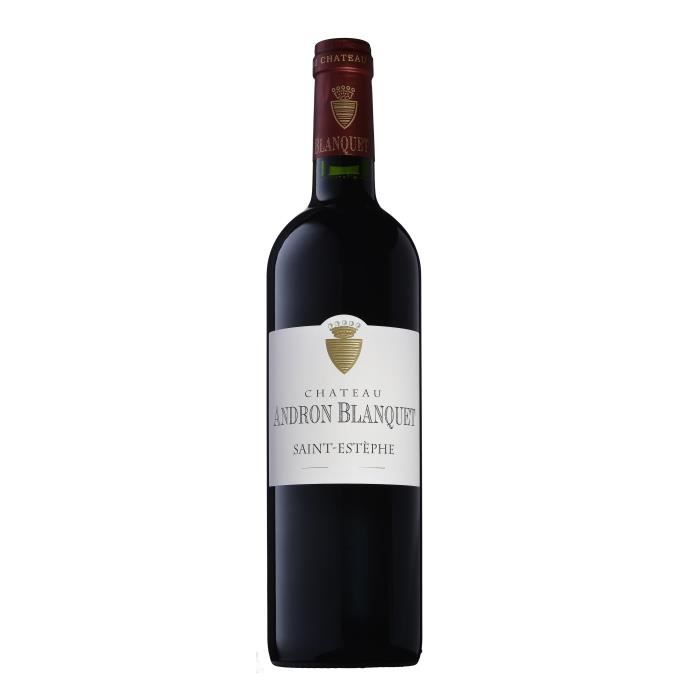 Château Puy Blanquet 2012 Saint Emilion GC rouge AOC 150CL