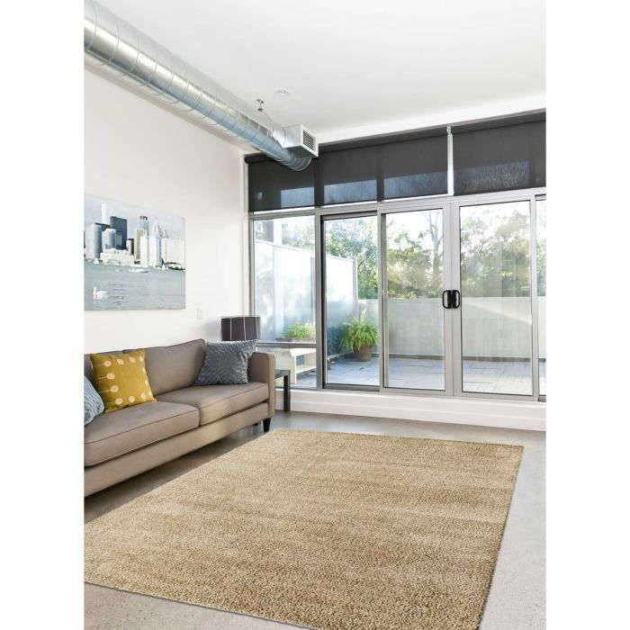 Tapis 160 X 230 Cm Silky Gris Noir Tapis Salon Silky Touch Beige 160x230 Par Dezenco Tapis Moderne Achat Vente Tapis Polyester Cdiscount