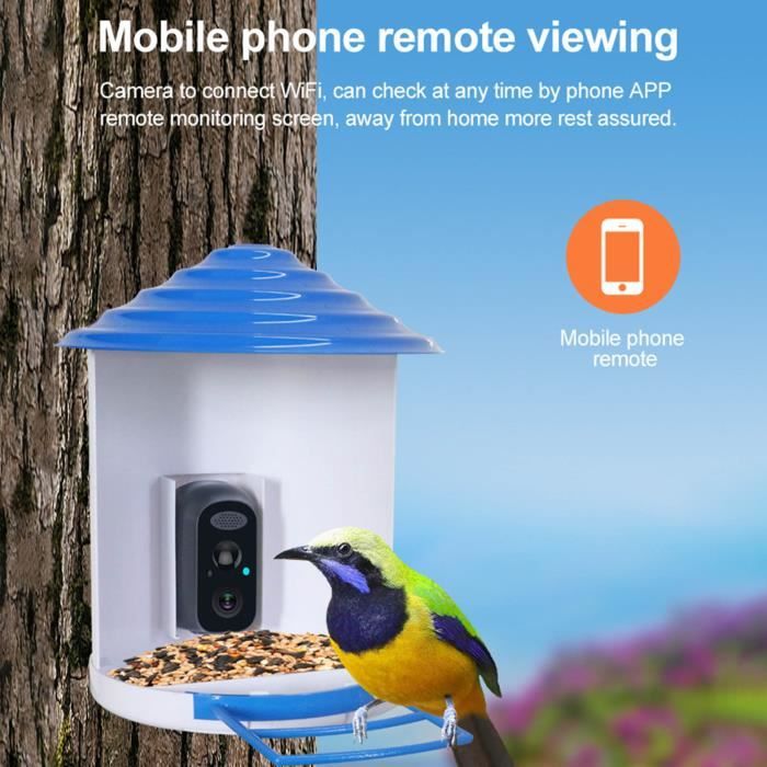 Mangeoire à oiseaux intelligente avec caméra, 1080P HD, panneau