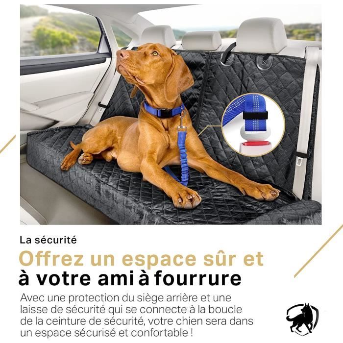 Housse de siège auto pour chien imperméable résistante aux rayures  protection de siège arrière universelle couverture chien coffre - Cdiscount  Auto