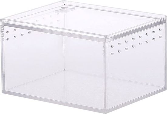 Terrarium En Acrylique 20x12x12 Cm - Transparent, Avec Aérations, Pour Escargots, Geckos, Petits Reptiles