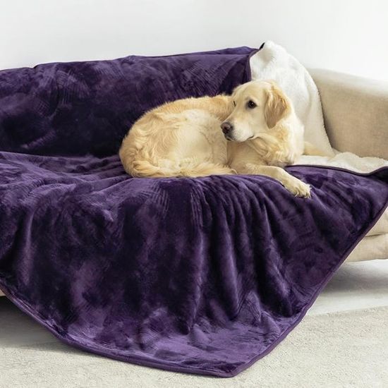 Oreiller De Camping L.L.Bean – Violet/Gris à Carreaux – Flanelle Lavable Et Compressible
