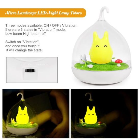 Rechargeable LED Totoro lampe micro - paysage veilleuse capteur tactile  petit enfant chambre dormir l'éclairage Art Decor - Cdiscount Puériculture  & Eveil bébé