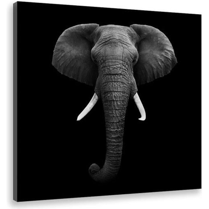 HXA DECO - Impression sur Toile, Decoration Murale Tableau Tableau Mural, Tableau Animaux Elephant Noir et Blanc Ivoire - 50x50 cm