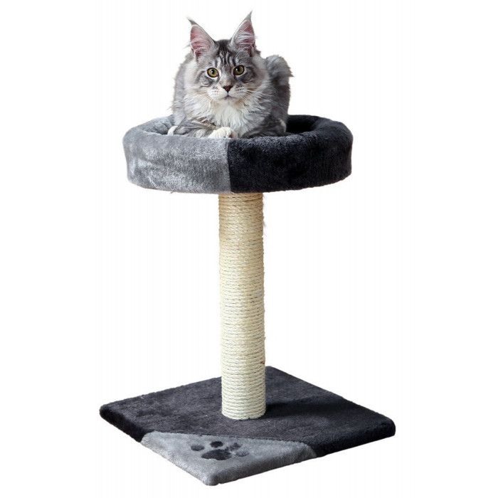Comparer les prix de Arbre à chat - ANIMALLPARADISE - Tarifa - 35x35 cm - Hauteur 52 cm - Noir et gris
