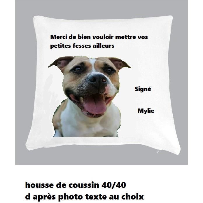 Image Humour Chien Et Chat