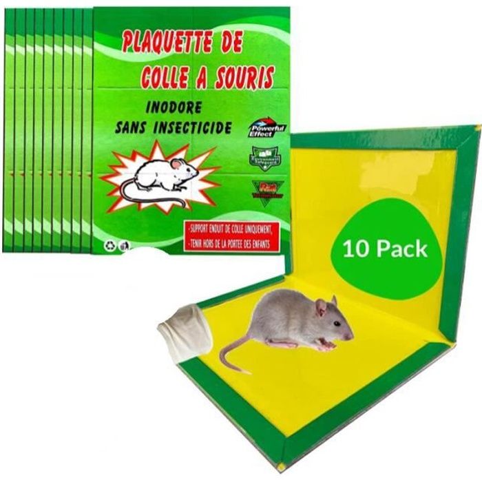 Piège Souris Professionnel- 10 Plaques Collantes Glue piège à Rats