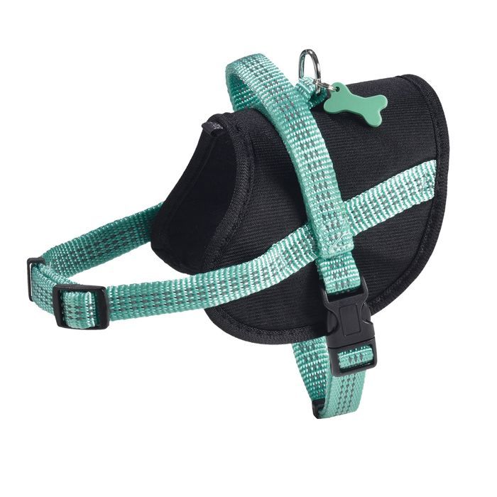 Comparer les prix de Harnais Easy Safe Lagon Taille : S - BOBBY