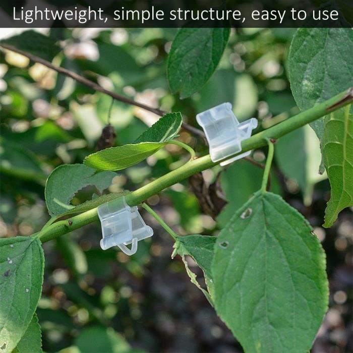 100 Pièces Clips de Support pour Plantes, Pinces à Plantes Réutilisable Attache Tomate, Planter de Clips Tomates de Jardin - Jardin 100 Pièces Clips de Support pour Plantes, Pinces à Plantes Réutilisable Attache Tomate, Planter de Clips Tomates de Jardin - Jardin