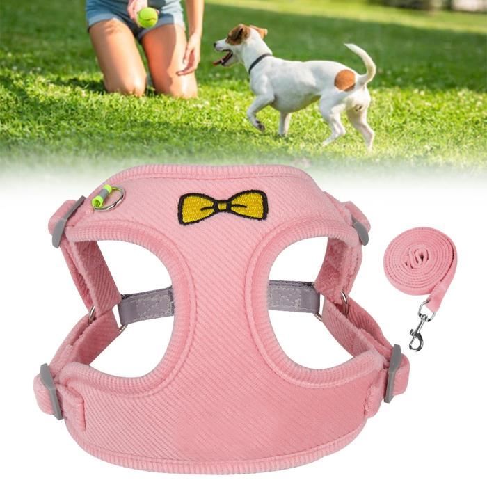 Meilleurs prix pour Harnais pour chiens pour petits chiens Harnais réfléchissant pour petit chien, gilet sport Bleu M Rose M pour 150-155cm