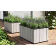 Keter Jardinière Sequoia Taille moyenne Gris PP 240929-1