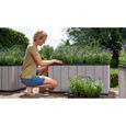 Keter Jardinière Sequoia Taille moyenne Gris PP 240929-2
