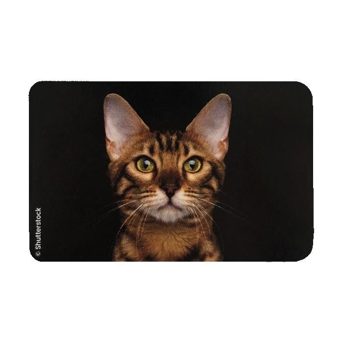 2 Étuis Anti-Piratage RFID - Motif Tigre Tropical - Protection Cartes Bancaires - 6x8,8cm