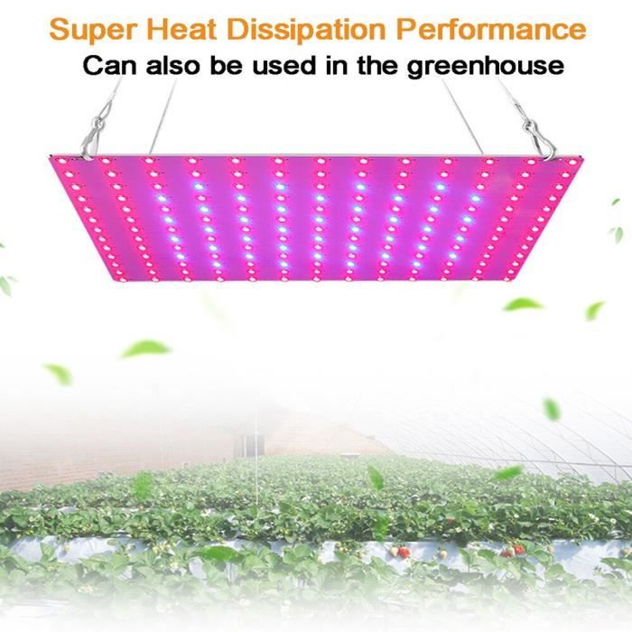 Acheter Lampe de croissance LED USB, éclairage d'intérieur, lampe  botanique, lampe de croissance LED pour plantes, lumière Flexible, à  spectre complet, pour système hydroponique, serre