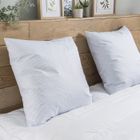 DUNLOPILLO - Oreiller Plumes Ferme 60 x 60 cm Blanc