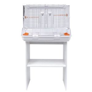 Grande Cage Oiseaux