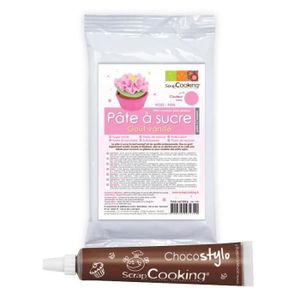 AIDE PÂTISSERIE Pâte à sucre rose arôme vanille + Stylo chocolat
