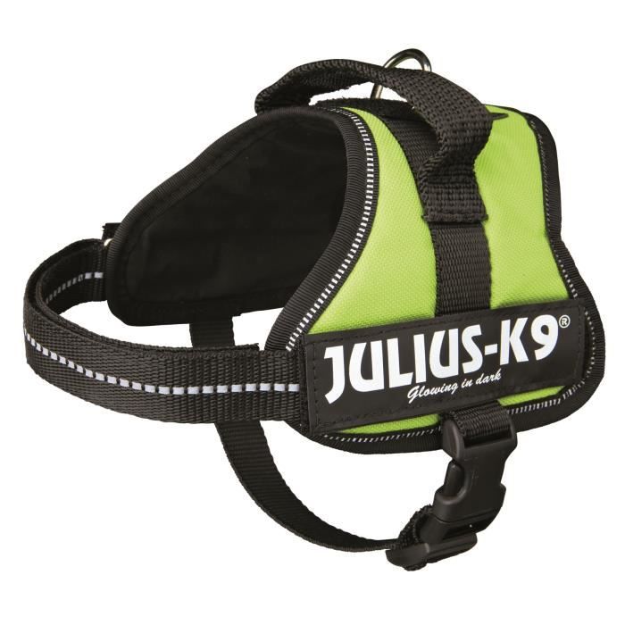 Harnais Power Julius-K9 - Mini-Mini - S : 40-53 cm-22 mm - Vert pastel - Pour chien