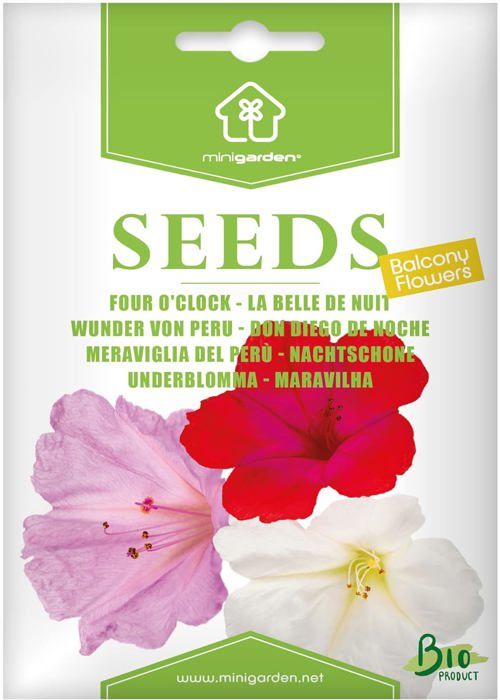 Minigarden Pétunia, Graines Prêt à Pousser , 100% Naturelles Sans