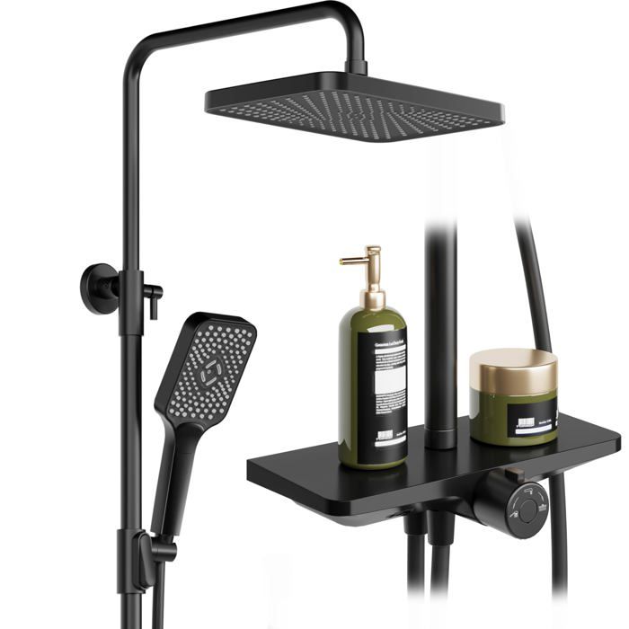 Triumpunpre Douche à effet pluie sans robinetterie système de douche avec pommeau de douche en acier inoxydable noire