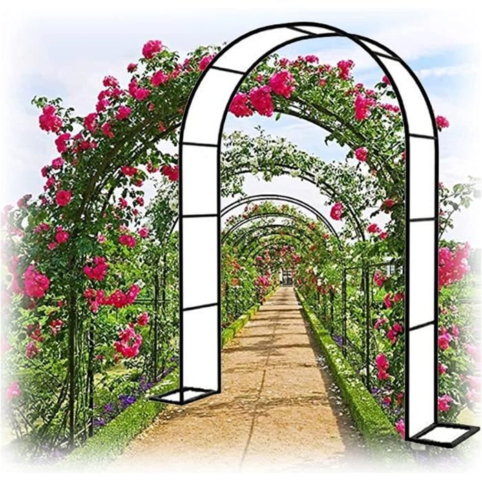 VidaXL 2X Arche De Jardin Pour Plantes Grimpantes - Arceau à Rosiers Patio Terrasse
