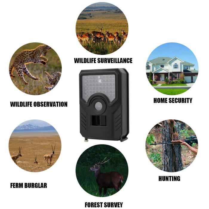 SLODA Panneau Solaire 3 W Pour Caméra De Piste, Kit De Chargeur De Batterie Solaire Pour Caméras De Trail - 12 V/1 A/6 V/1,5 A, Batterie Au Lithium Rechargeable 6000 MAh étanche