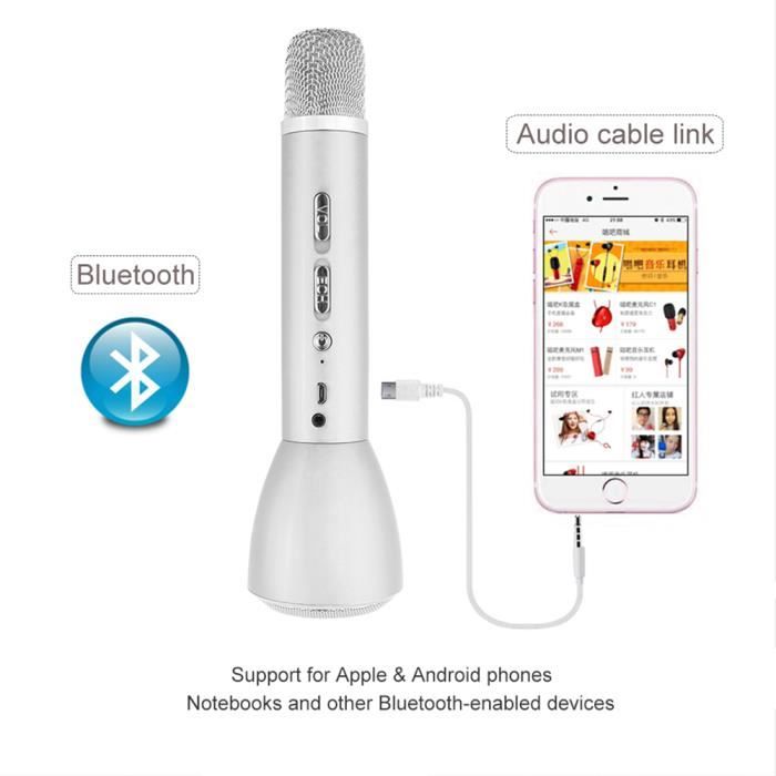 Microphone Sans Fil Enceinte Intégré pour Karaoké avec Bluetooth, Studio  Kit de Système pour KTV Enseignement Spectacle