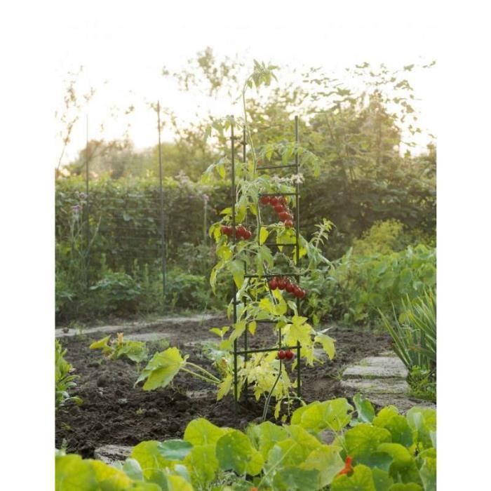 Canne Di Bambu Per Orto 10 Tuteurs Pour Plantes 120 Cm - Acier Plastifié Vert - Pour Tomates, Haricots, Potager Accessoire Jardinage Extérieur