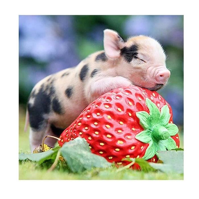 Diamant Peinture Bebe Cochon Dormir Sur Broderie Point De Croix Broderie 3133 Cdiscount Maison