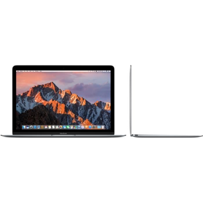 Ordinateur Apple Macbook 12p 256Go Gris Sid. m31