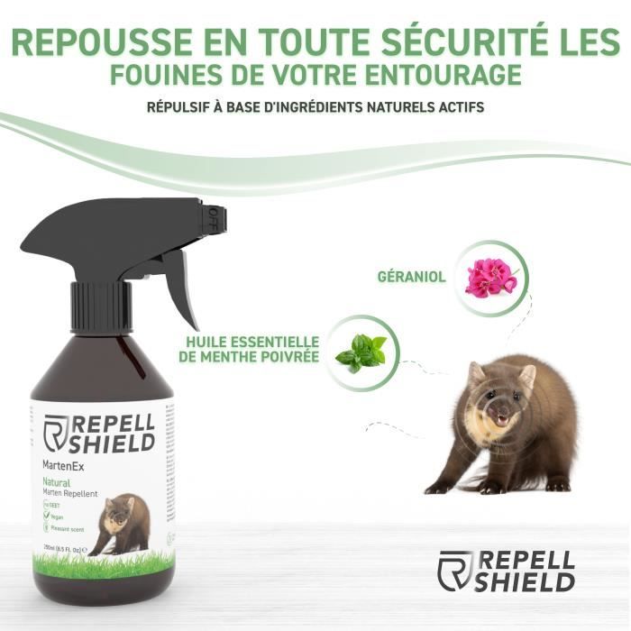 RepellShield Spray Anti Fouine et Anti Martre Naturel - Pour