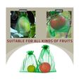 Sacs de protection pour fruits - 100 sacs filets blancs 30x20cm - Protégez vos fruits des oiseaux et insectes-2