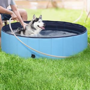 Piscine Coquillage Cdiscount