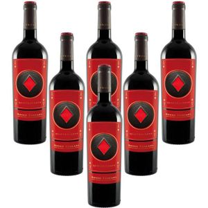 VIN ROUGE vin rouge italien Quattrocento Cinquesegni Art Vin